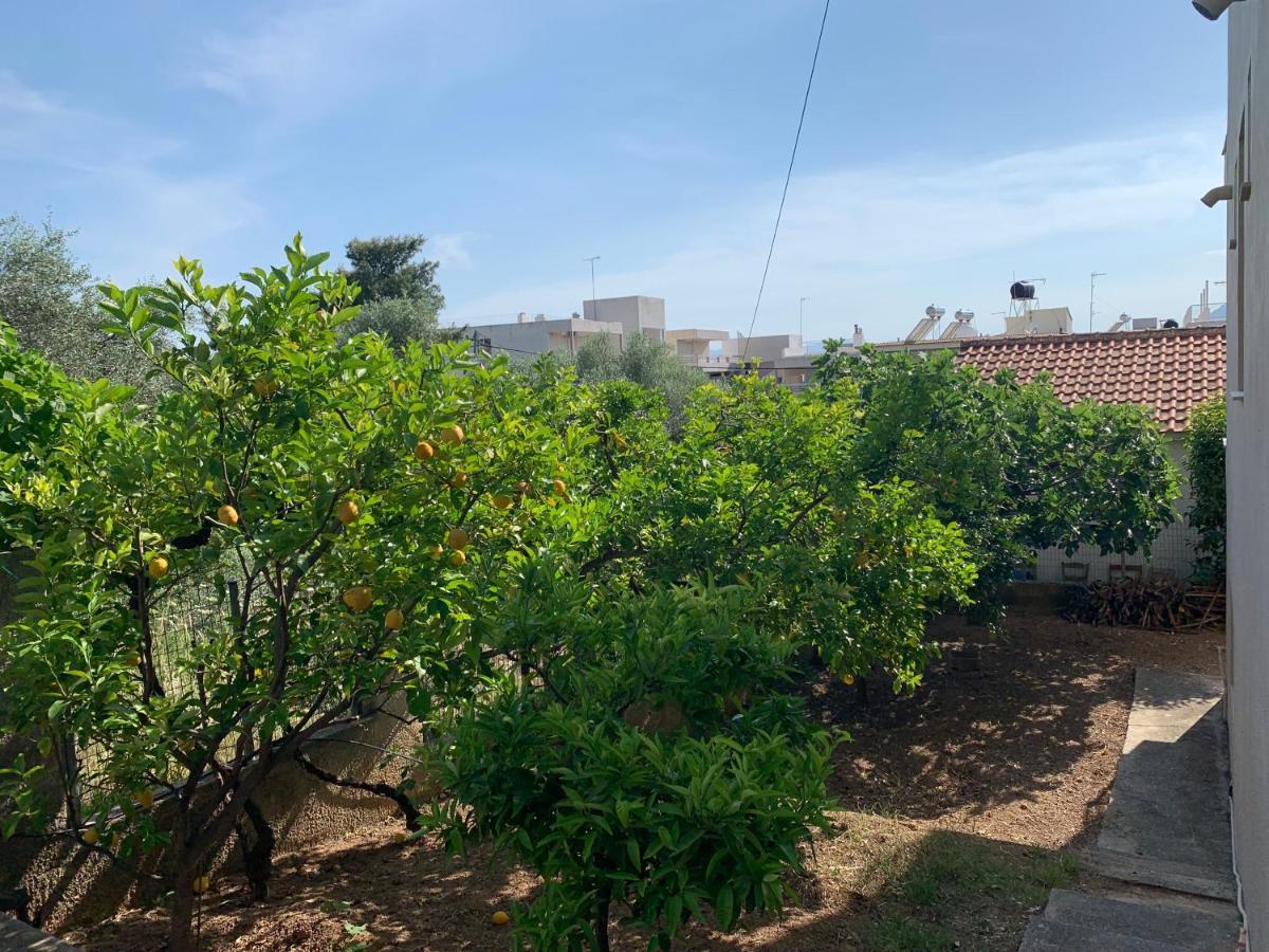 Αβαντίς Aparthotel Λουτρά Αιδηψού Εξωτερικό φωτογραφία
